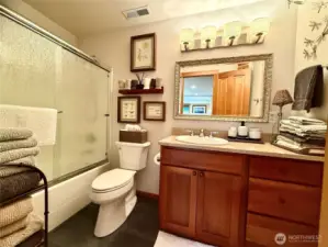 Full bathroom downstairs.