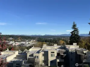 Spectacular Cascade Mtn view over downtown Redmond!