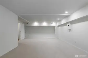 Lower level media/tv/flex space.  The perfect spot for sports fans, movie buffs....