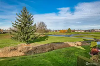 Looking Northeast toward the pond.