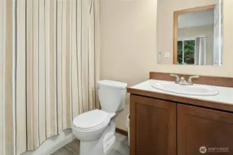 Attached full bath creates a true lower-level retreat.