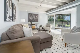 Lower level BONUS room with slider to backyard