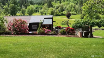 View from the upper back yard.