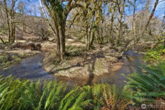 Enjoy two creeks running through the property, complete with a natural swimming hole