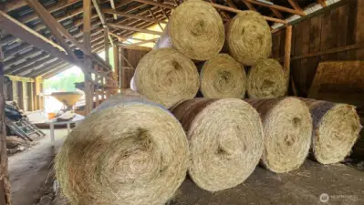 View from inside the barn