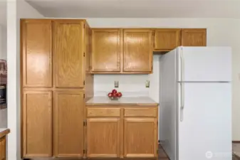 Pantry cabinets and bonus counterspace. The fridge space will accomodate a larger, stainless fridge!