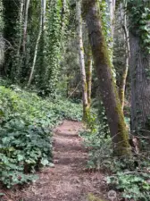 The community even has hiking trails!