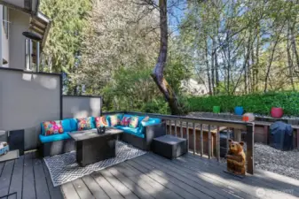 Private Oasis Against Greenbelt