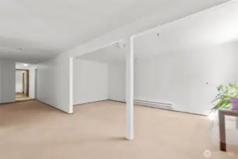 Downstairs Rec Room