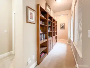 Library Shelves