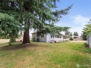 Large spacious yard.
