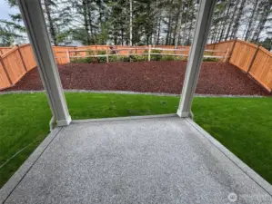 Backyard photo