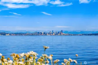 With the Emerald City and Cascade Mountain Range holding center court.