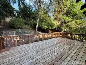 Back Deck