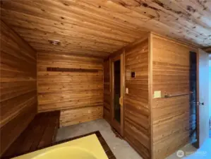 The Makings Of Potential Sauna