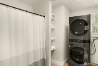 Another view of the full bath downstairs