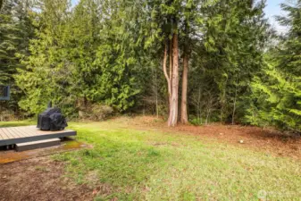 Private backyard with over 5 acres of land!