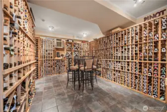 Lower Level The Cellar