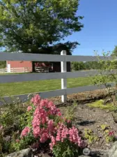 Mature Flowerbeds with gorgeous blooms.