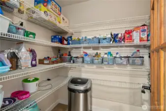 Walk In Pantry