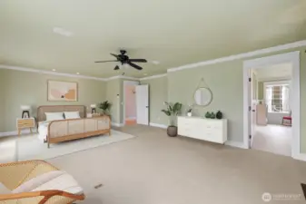 Light and Bright suite.