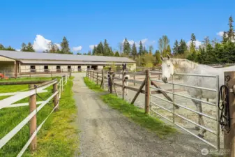 Easy care layout, barns, paddocks and pastures all thoughtfully designed