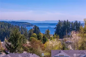 Watch the Vashon ferry go by day & night