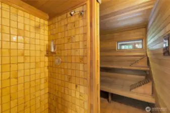 Sauna and shower combo