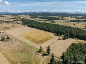 Pasture, Pond & Mature Woods.  Sunny 30 acres of versatile land in the heart of Lopez Island.
