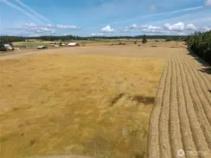 uncut pasture surrounded by mowed hay.