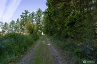 Driveway on the property.