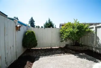 Fenced private backyard. Gate accesses a large dog run.
