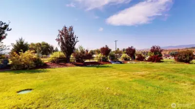 Backyard Landscaping
