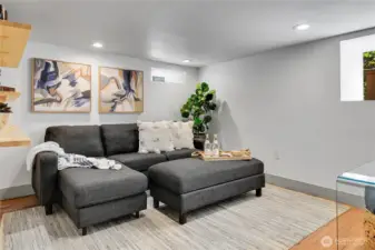 Lower level bedroom.