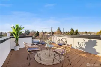 Premium and low maintenance trex decking