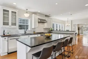 Updated gourmet kitchen.