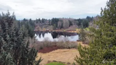 View of Stitch Lake