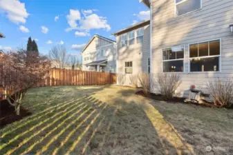 Fully Fenced, Sunny Backyard with Lawn, Hydrangeas, and Other Blooms.  Ready for play or garden.