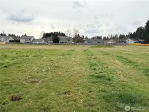 Middle of property looking West