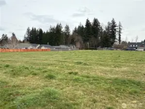 Middle of property looking West