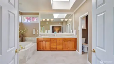En suite off the primary bedroom showcases dual vanities, skylight, and a large walk-in closet with custom built-ins.