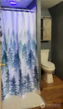 Tiny Home Interior