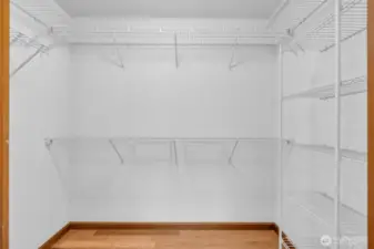 Primary bedroom has a great walk-in closet - fill it up