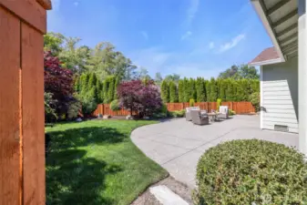 Fully fenced backyard - so beautiful - so private