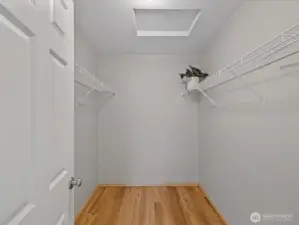 walk in closet for primary