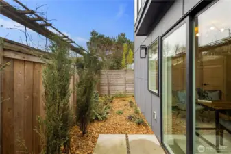Low-maintenance yard space