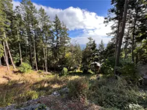 Property looking East to lower property line where tree line starts