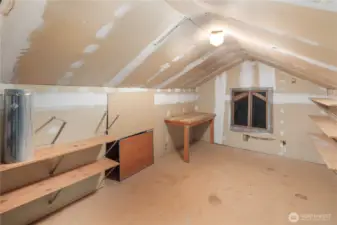 Unfinished Attic Space