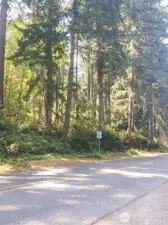 Looking west