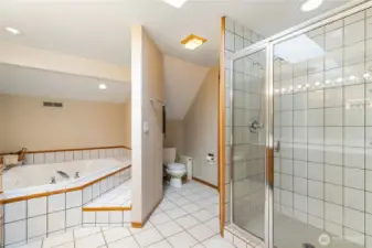 shower, tub and separate toilet area.